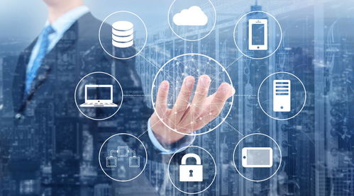 站在風口上，豬都能飛起來？真正厲害的人，除了機遇，還需要掌握數字內容制作服務